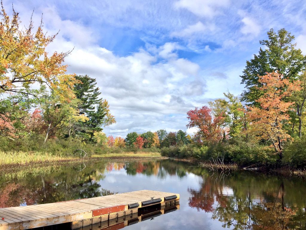 Bonnechere Provincial Park Dock, Fall Colours