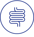bowel icon