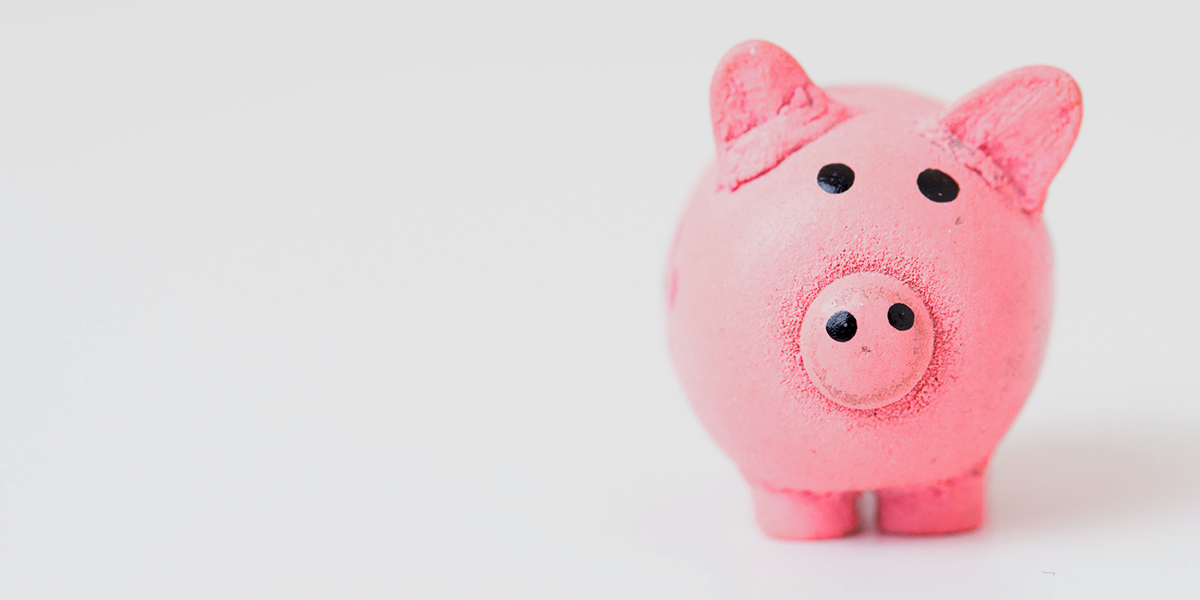 pink piggy bank