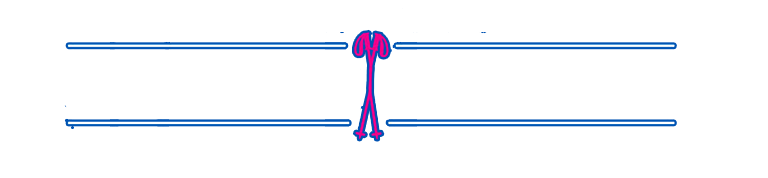 Journée de ski et de snowboard