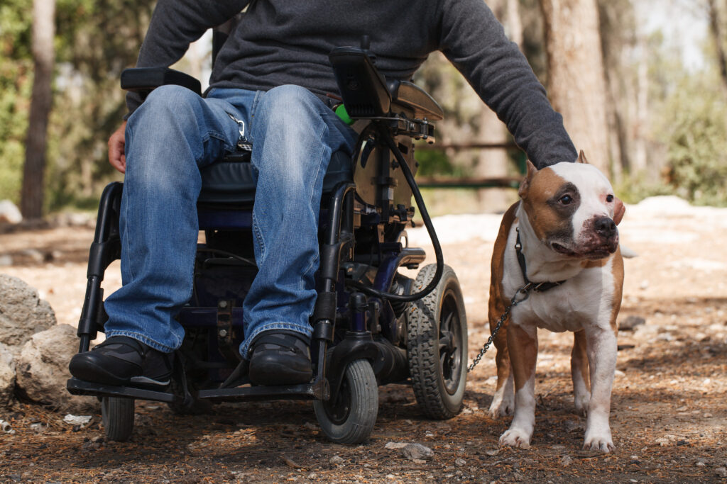 Young man in a wheelchair with his faithful dog walk in the park