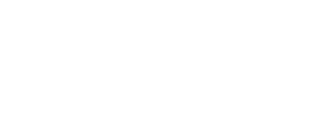Permobil Foundation Logo