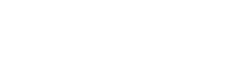 Accessible Employment Services