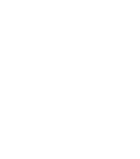 disability lift icon